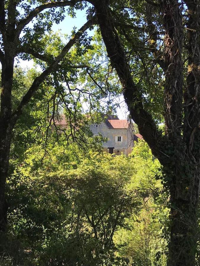 Chambre D'Hotes Lasserre Saint-Amand-de-Coly 外观 照片